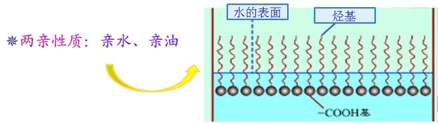 <a href='http://www.2619555.com/product/product-0001,0011,0018.shtml' class='keys' title='點(diǎn)擊查看關(guān)于潤(rùn)濕劑的相關(guān)信息' target='_blank'>潤(rùn)濕劑</a>